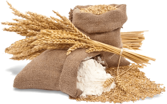 Brunsima%20Crop%20Science%20Private%20Limited