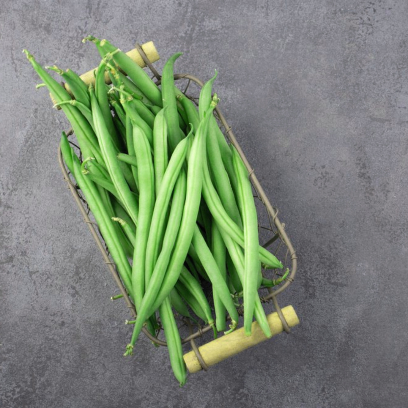 Untitled design - 2025-11-17T120004.131