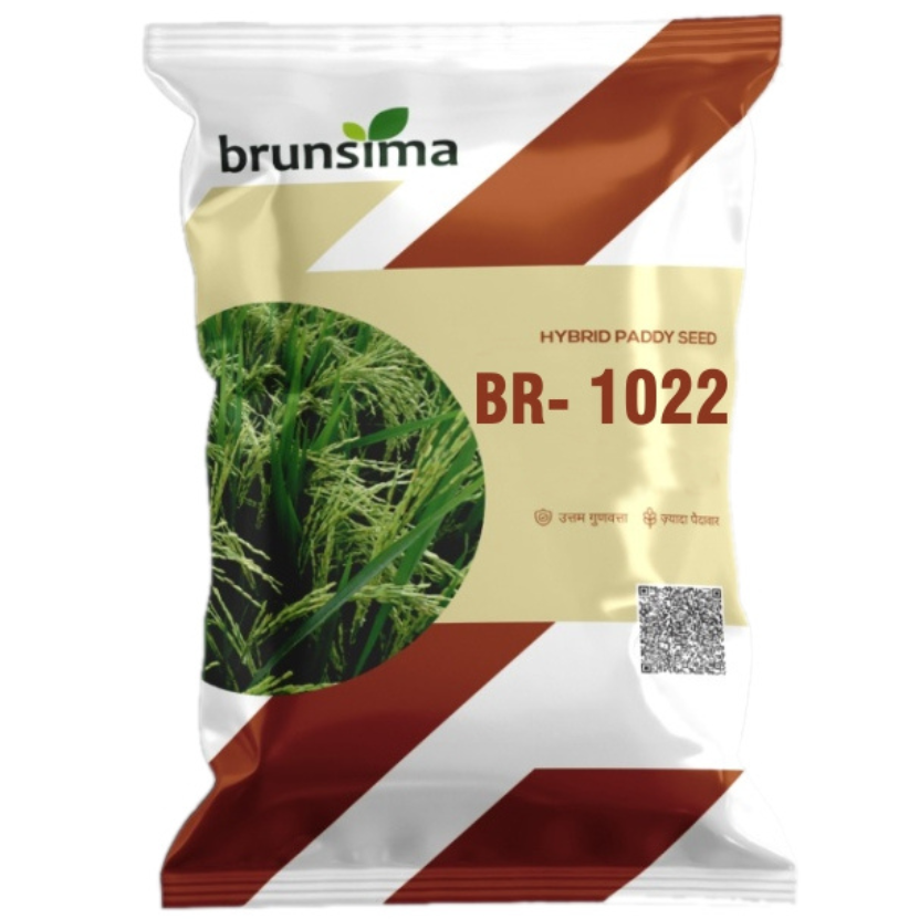 Untitled design - 2025-11-19T121944.939