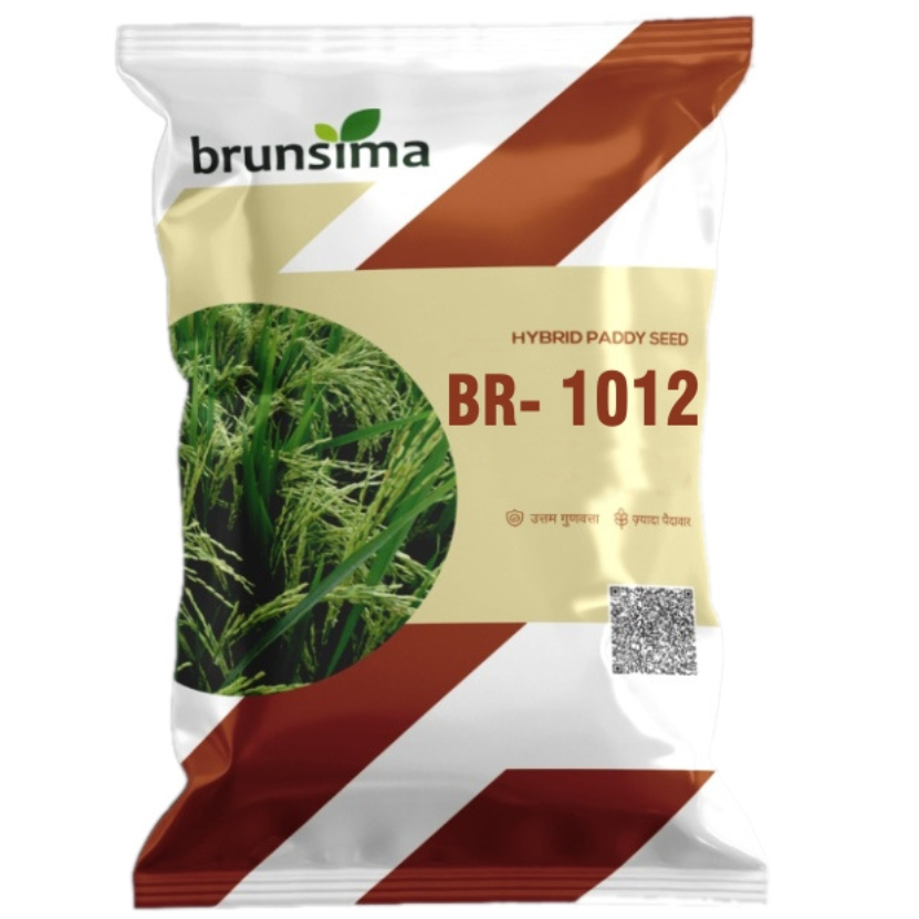 Untitled design - 2025-11-19T122144.338