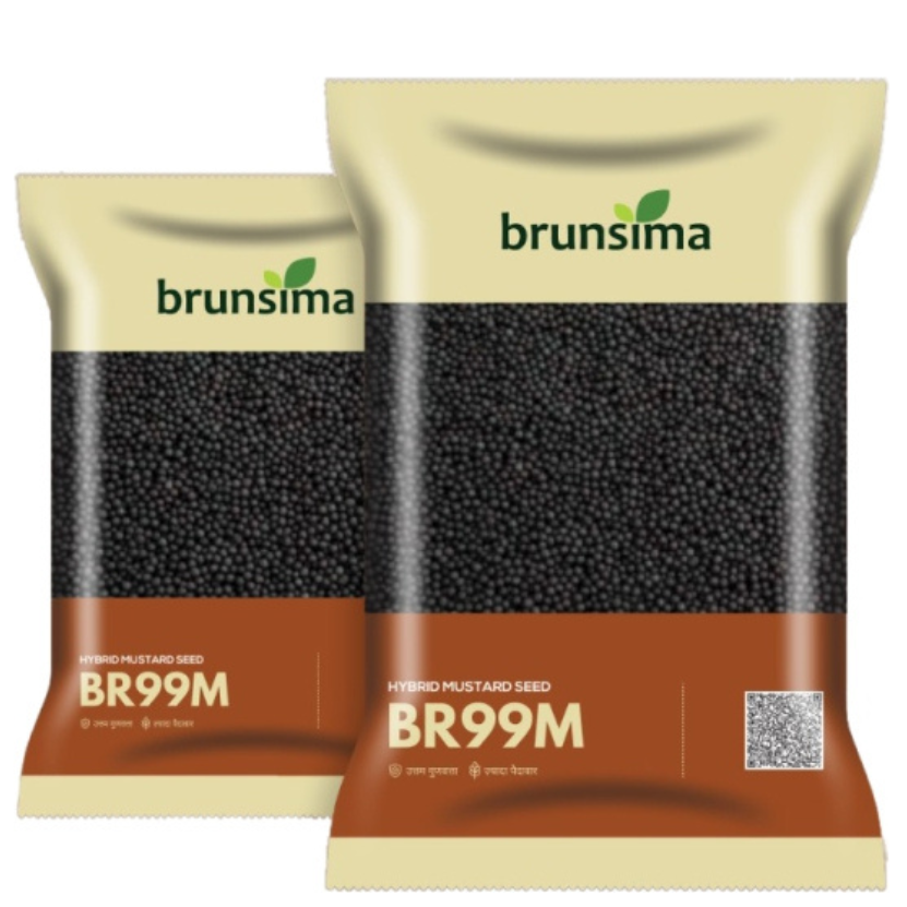 Untitled design - 2025-11-19T135404.284