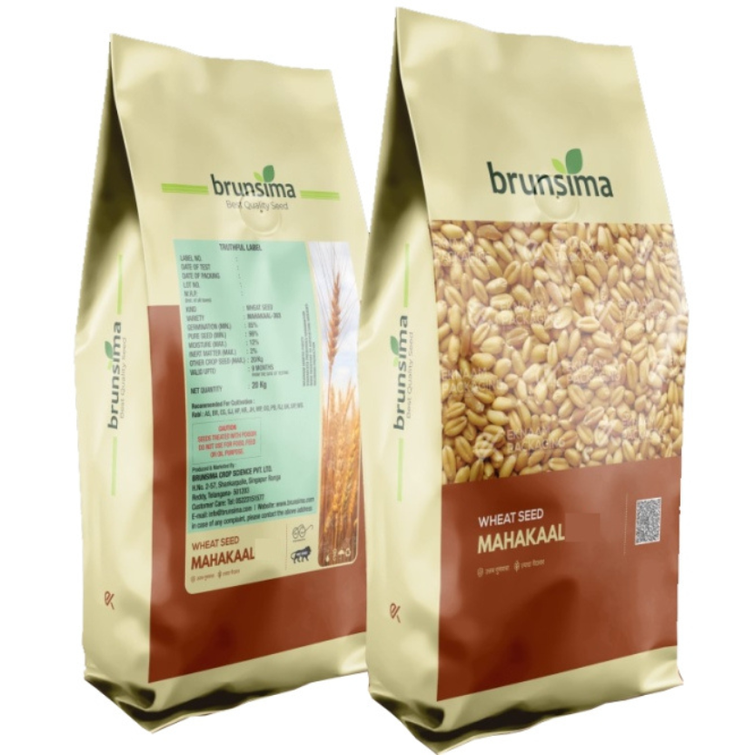 Untitled design - 2025-11-19T140636.262